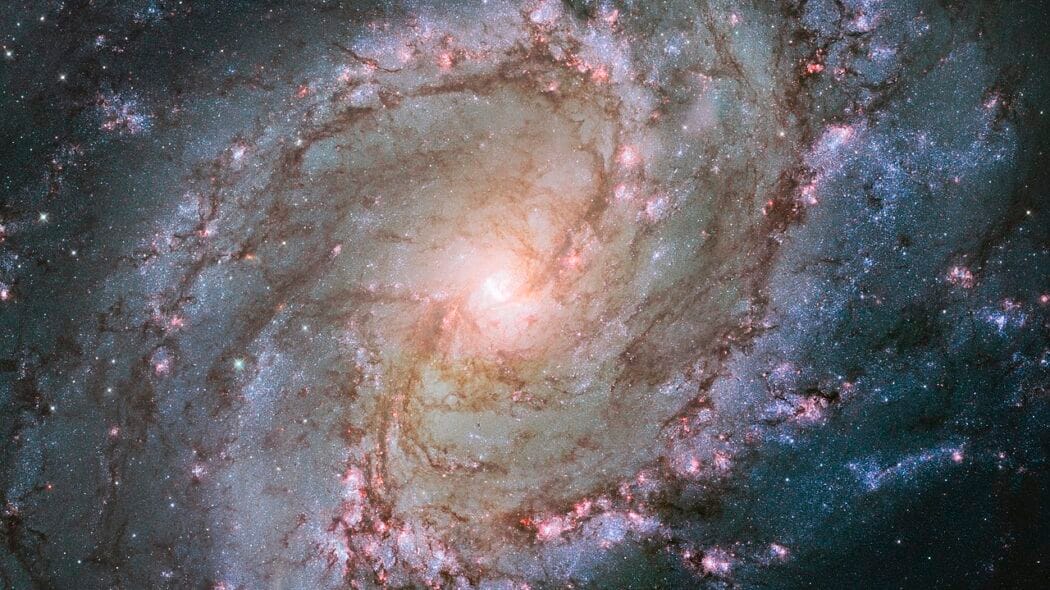 Messier 83 Bilder